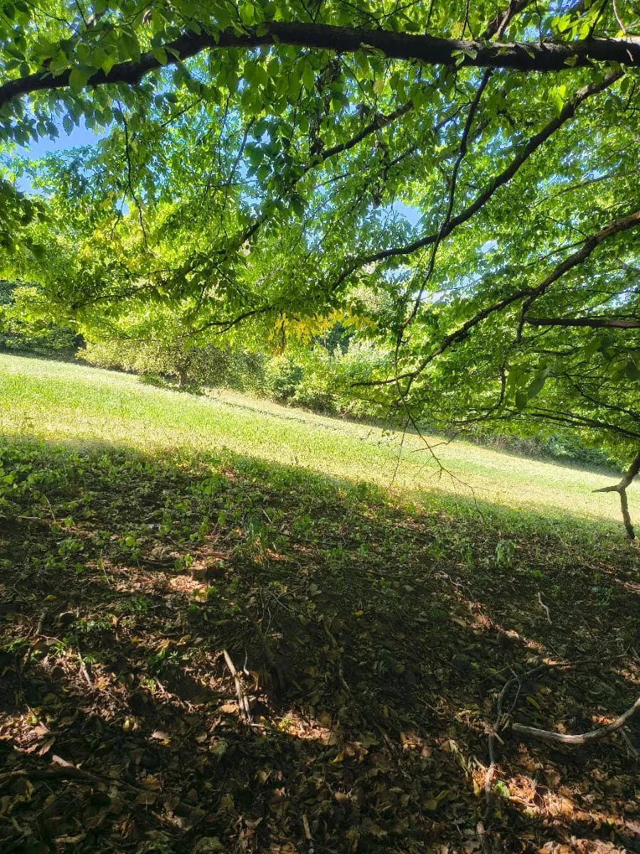 Grundstück kaufen in Krems Land – 13 729 m², € 49.000 – Bild 7 von 11