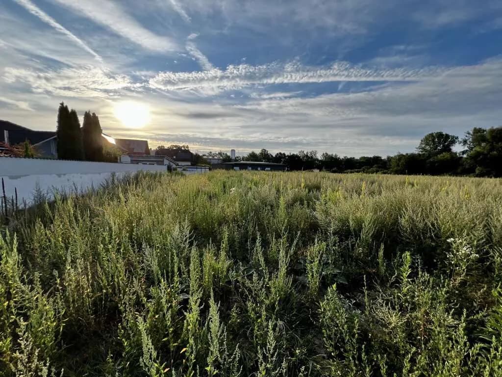 Grundstück kaufen in Perg – 500 m² – Bild 2 von 8