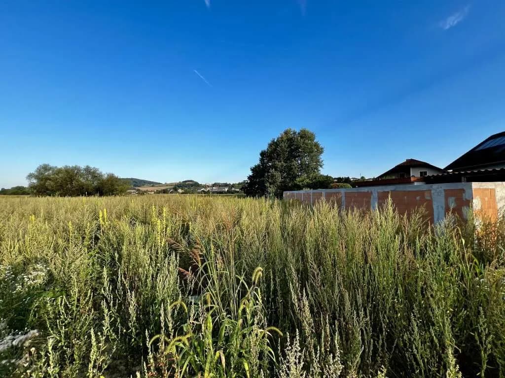 Grundstück kaufen in Perg – 500 m² – Bild 5 von 8