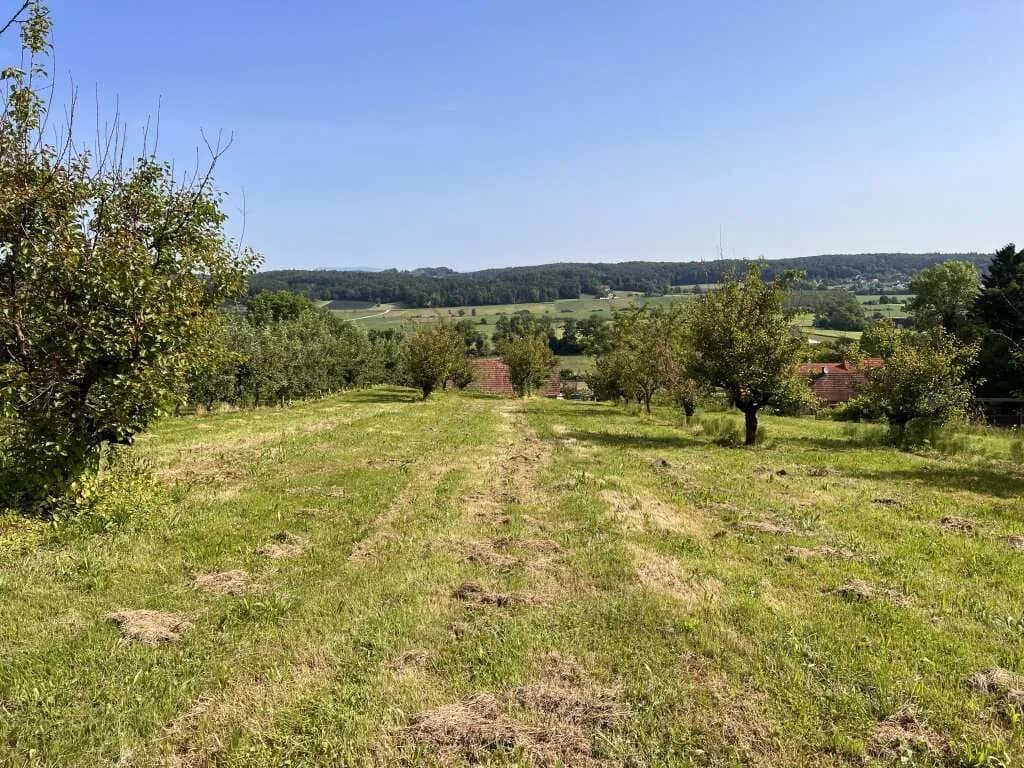 Immobilie kaufen in Hartberg-Fürstenfeld – 12 892 m², € 85.000
