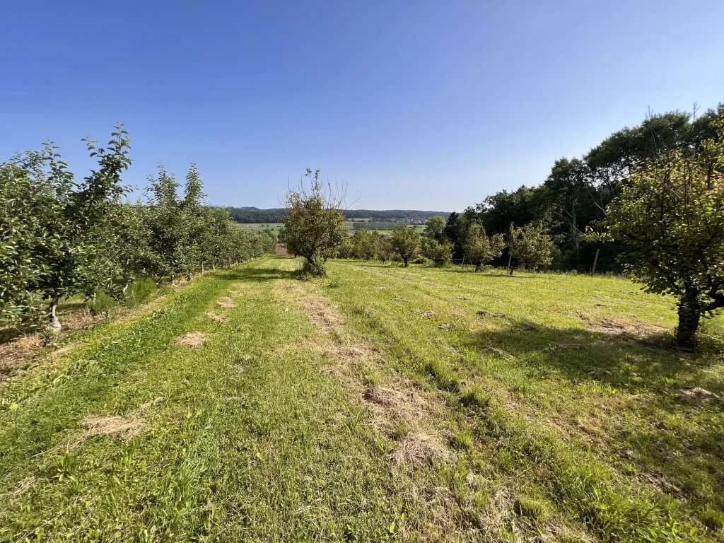 Immobilie kaufen in Hartberg-Fürstenfeld – 12 892 m², € 85.000 – Bild 2 von 15