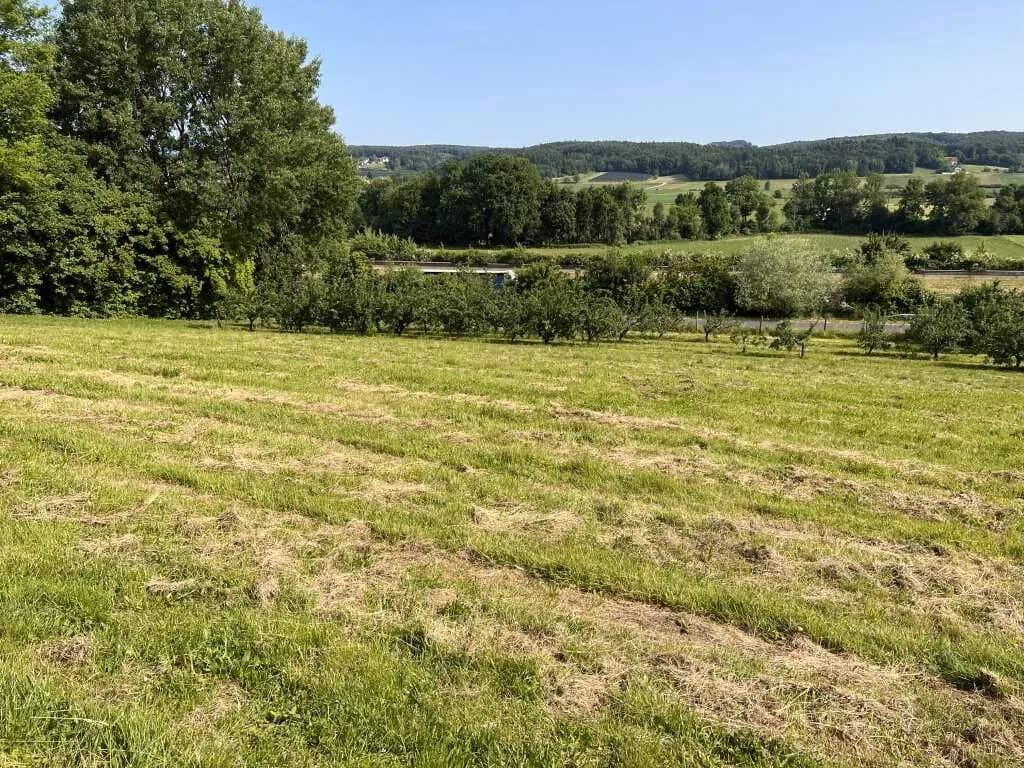 Immobilie kaufen in Hartberg-Fürstenfeld – 12 892 m², € 85.000 – Bild 6 von 15