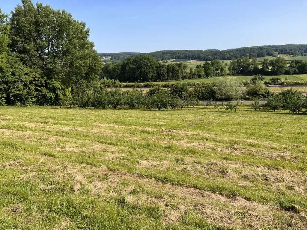 Immobilie kaufen in Hartberg-Fürstenfeld – 12 892 m², € 85.000 – Bild 8 von 15