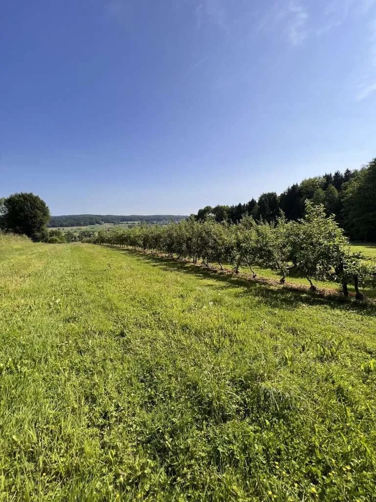 Immobilie kaufen in Hartberg-Fürstenfeld – 12 892 m², € 85.000 – Bild 9 von 15