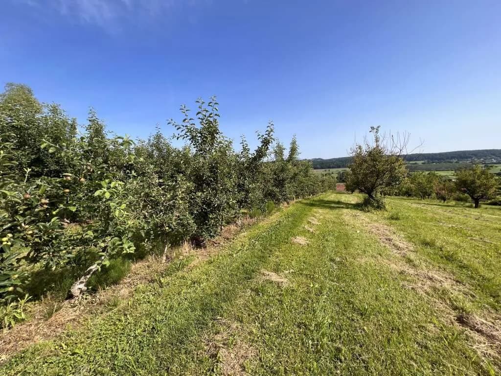 Immobilie kaufen in Hartberg-Fürstenfeld – 12 892 m², € 85.000 – Bild 12 von 15