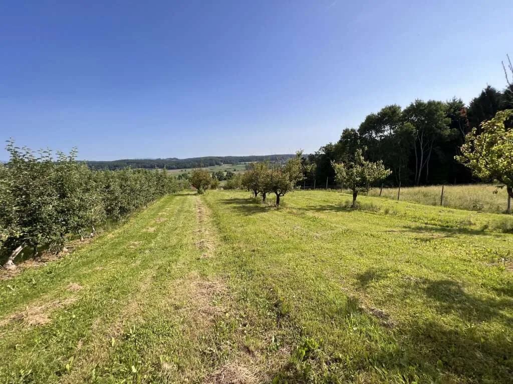 Immobilie kaufen in Hartberg-Fürstenfeld – 12 892 m², € 85.000 – Bild 13 von 15