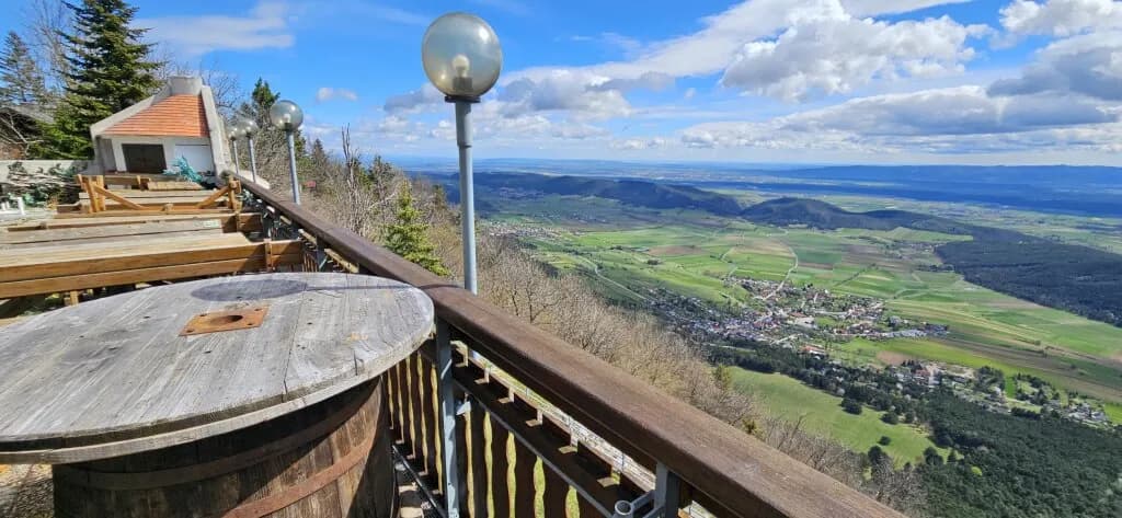 Gewerbeimmobilie mieten in Wiener Neustadt Land – 400 m², € 4.500 – Bild 8 von 21