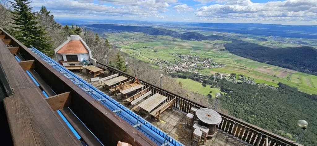 Gewerbeimmobilie mieten in Wiener Neustadt Land – 400 m², € 4.500 – Bild 9 von 21