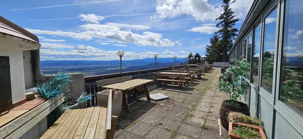 Gewerbeimmobilie mieten in Wiener Neustadt Land – 400 m², € 4.500 – Bild 10 von 21