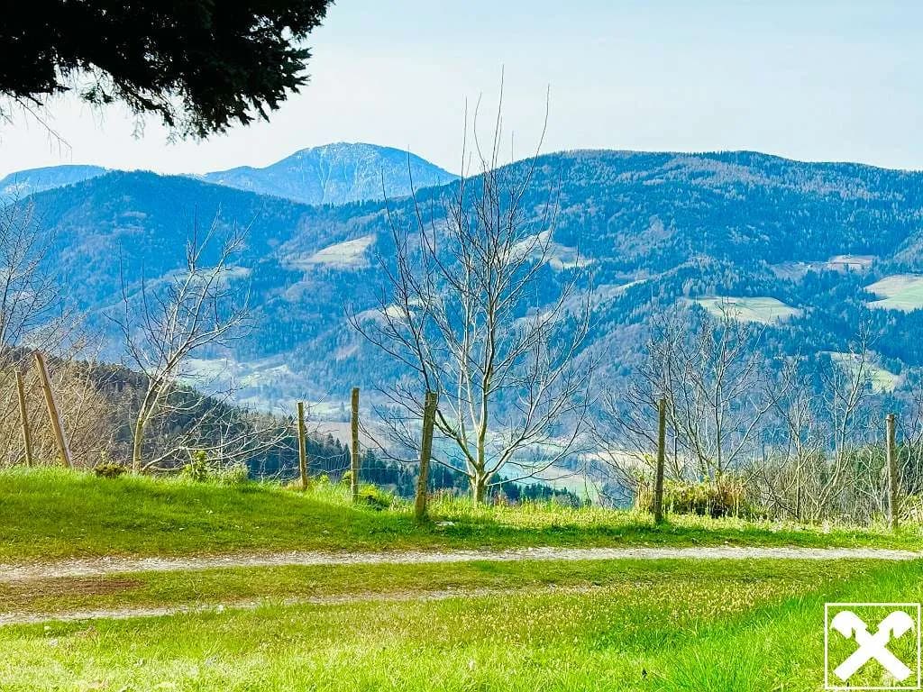 5-Zimmer-Immobilie kaufen in Wolfsberg – 260 m², € 695.000 – Bild 4 von 29