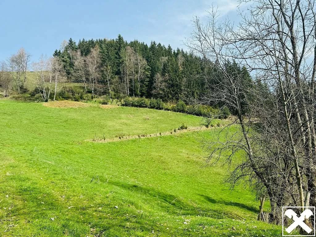 5-Zimmer-Immobilie kaufen in Wolfsberg – 260 m², € 695.000 – Bild 28 von 29