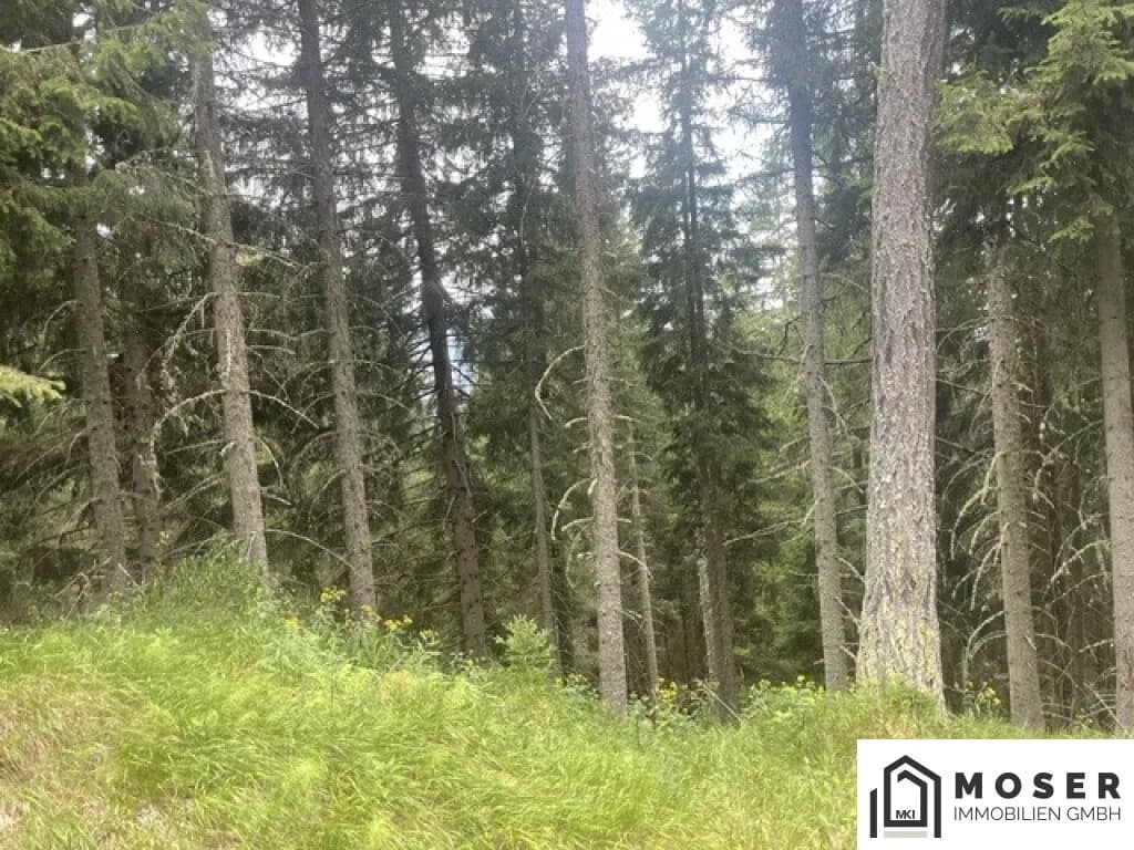 Immobilie kaufen in Murau – Bild 1 von 39
