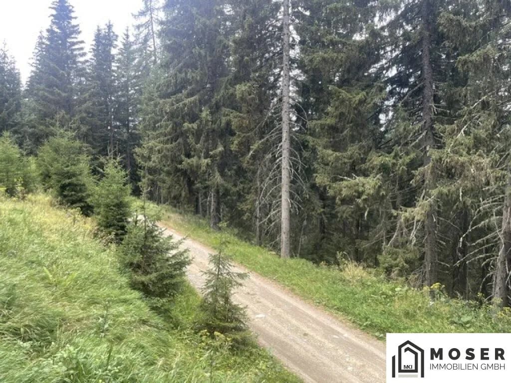 Immobilie kaufen in Murau – Bild 2 von 39