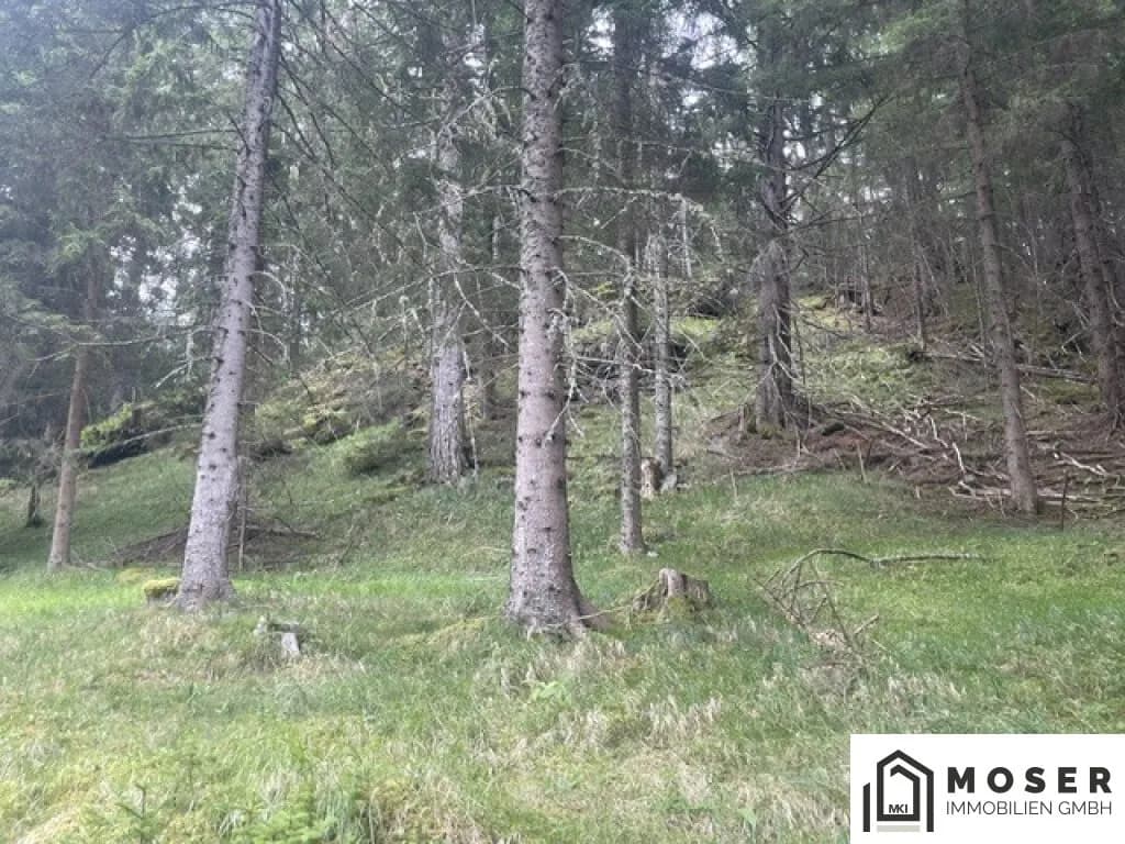 Immobilie kaufen in Murau – Bild 4 von 39