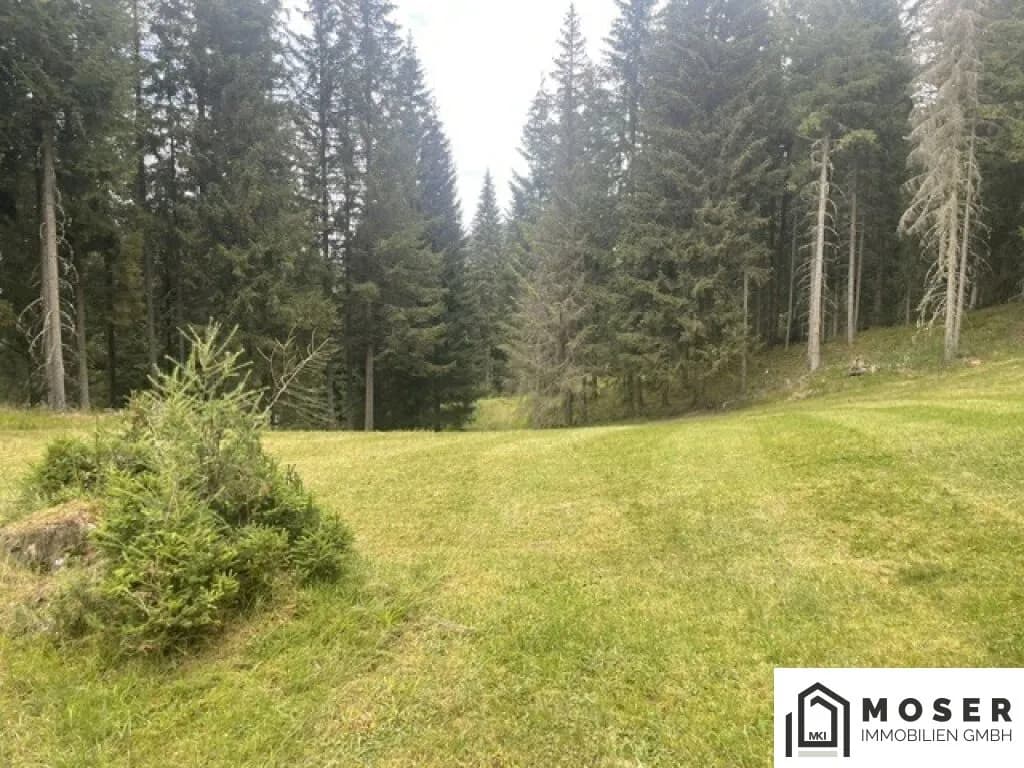 Immobilie kaufen in Murau – Bild 6 von 39