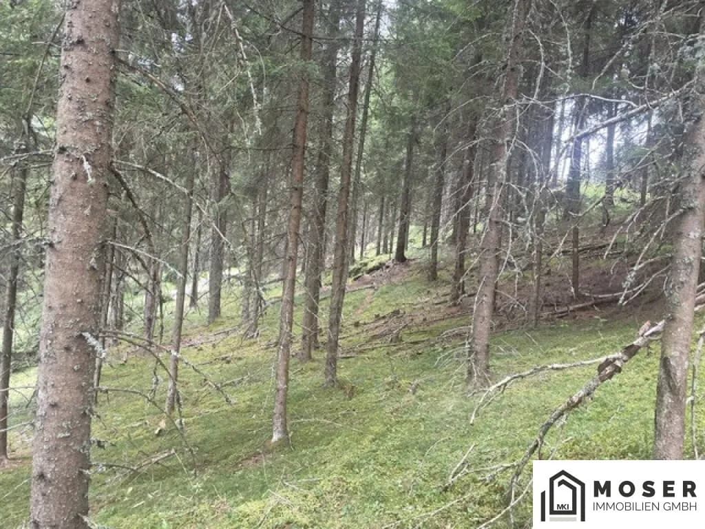 Immobilie kaufen in Murau – Bild 7 von 39