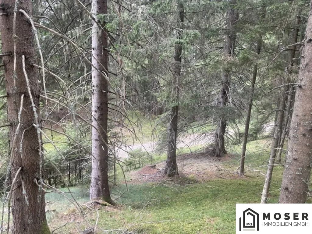 Immobilie kaufen in Murau – Bild 8 von 39