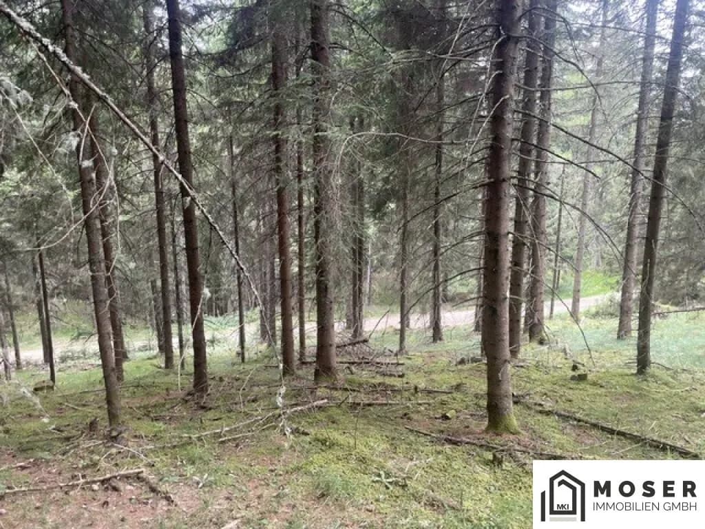 Immobilie kaufen in Murau – Bild 10 von 39