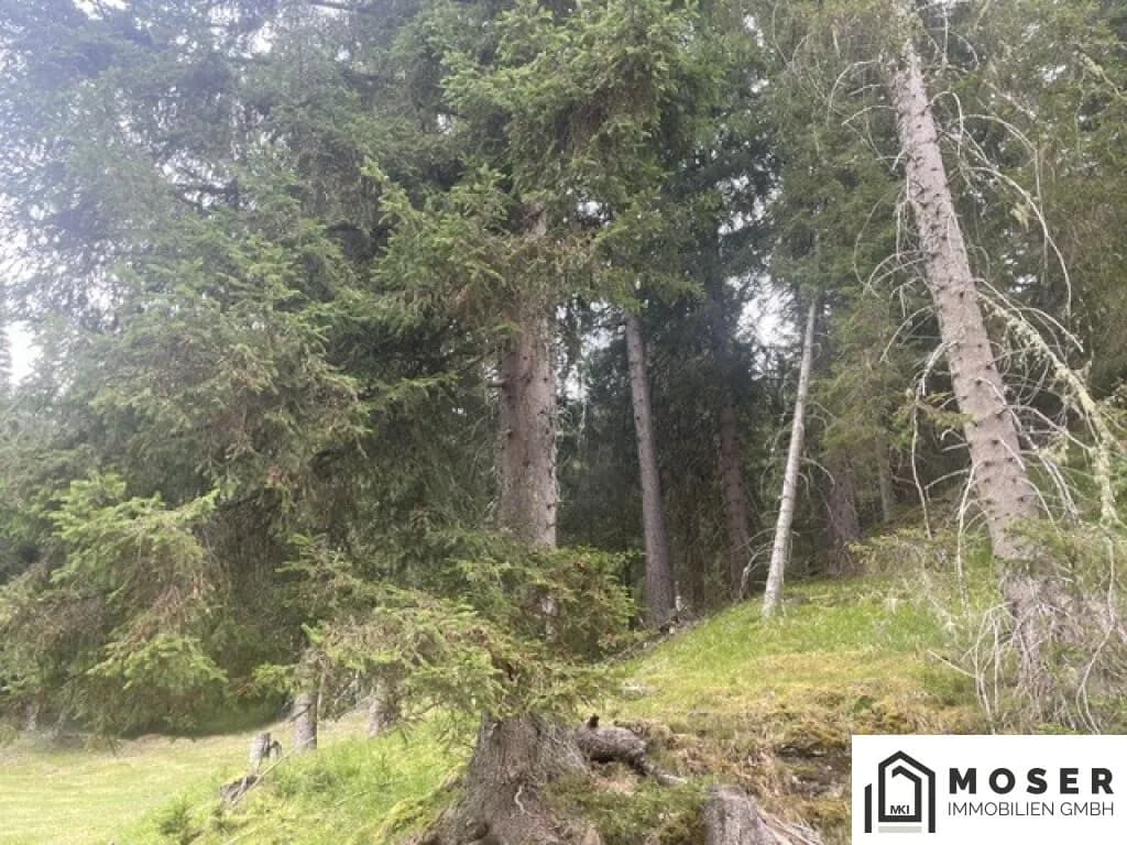 Immobilie kaufen in Murau – Bild 11 von 39