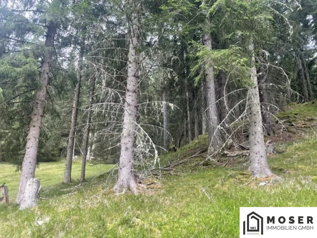 Immobilie kaufen in Murau – Bild 12 von 39