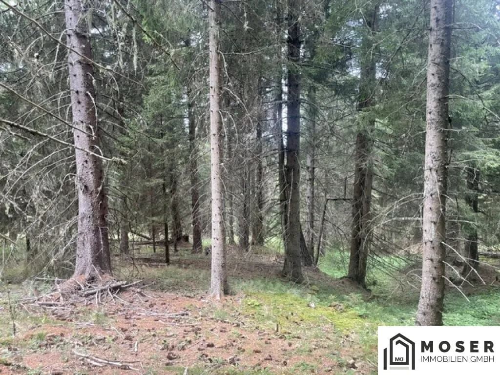 Immobilie kaufen in Murau – Bild 13 von 39