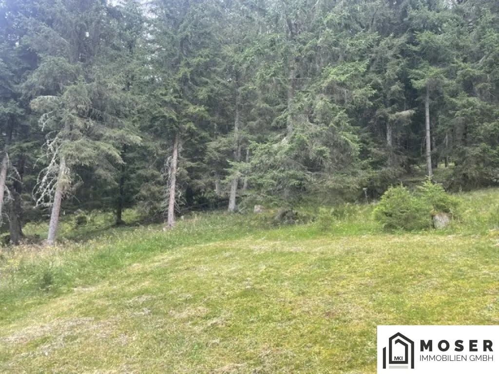 Immobilie kaufen in Murau – Bild 15 von 39