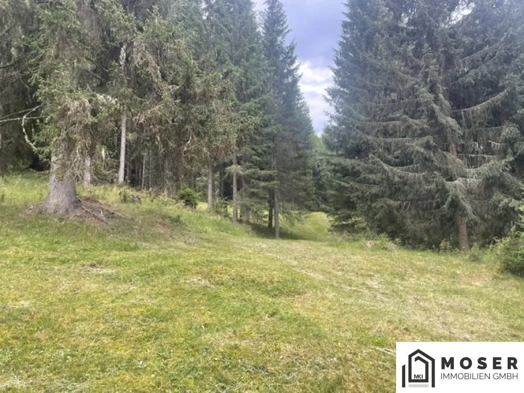 Immobilie kaufen in Murau – Bild 16 von 39