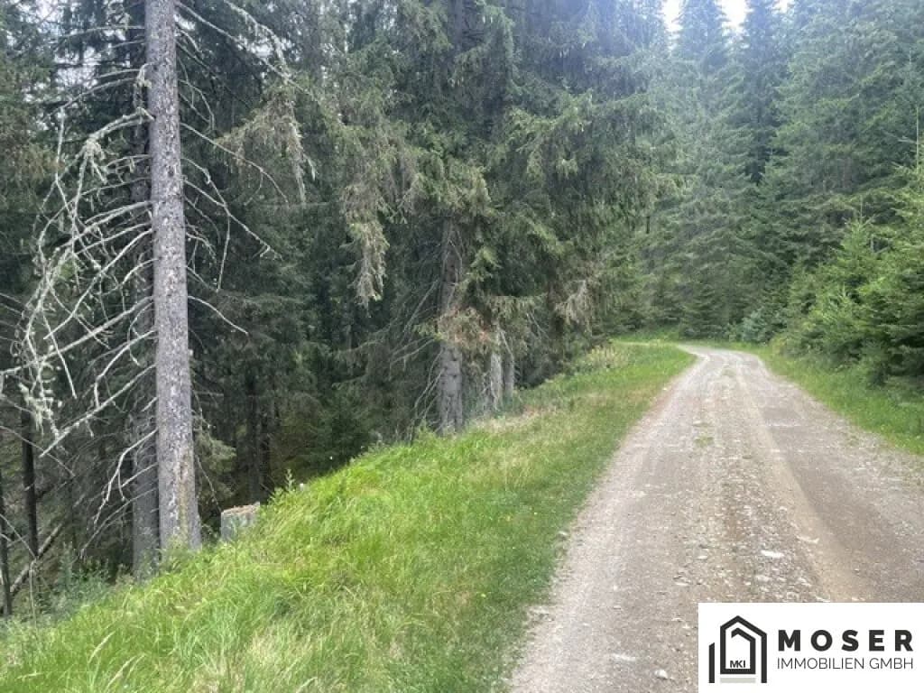 Immobilie kaufen in Murau – Bild 17 von 39