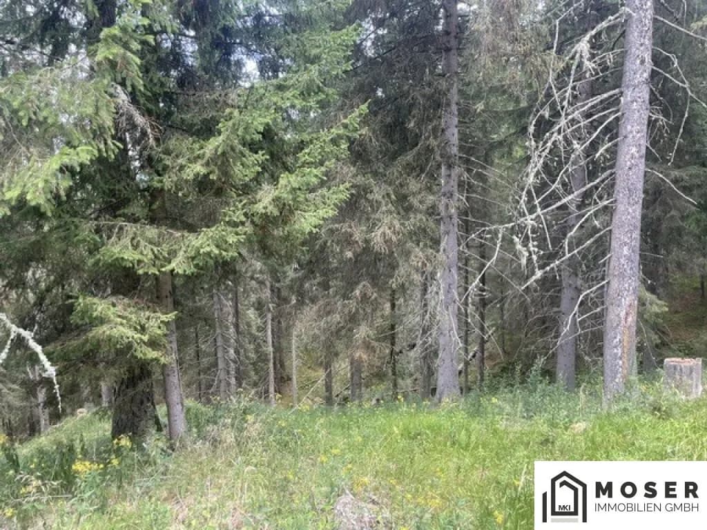 Immobilie kaufen in Murau – Bild 18 von 39