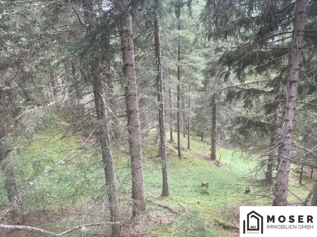 Immobilie kaufen in Murau – Bild 20 von 39