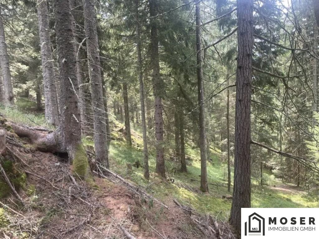 Immobilie kaufen in Murau – Bild 22 von 39