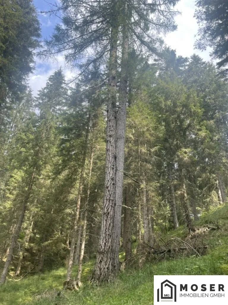 Immobilie kaufen in Murau – Bild 24 von 39