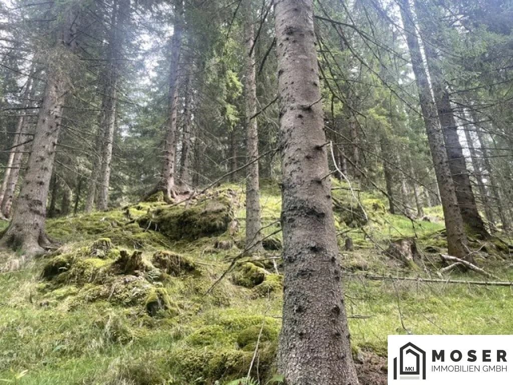 Immobilie kaufen in Murau – Bild 25 von 39