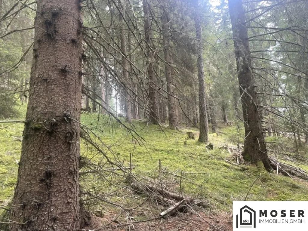 Immobilie kaufen in Murau – Bild 26 von 39
