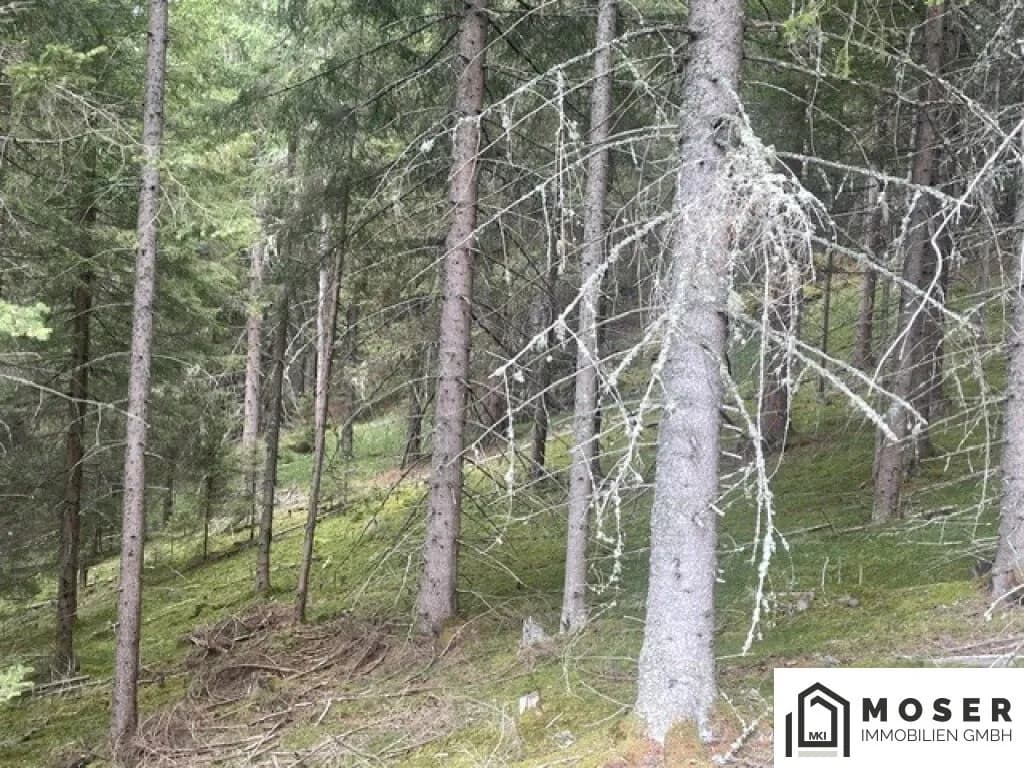 Immobilie kaufen in Murau – Bild 27 von 39