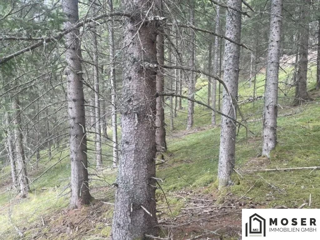 Immobilie kaufen in Murau – Bild 28 von 39