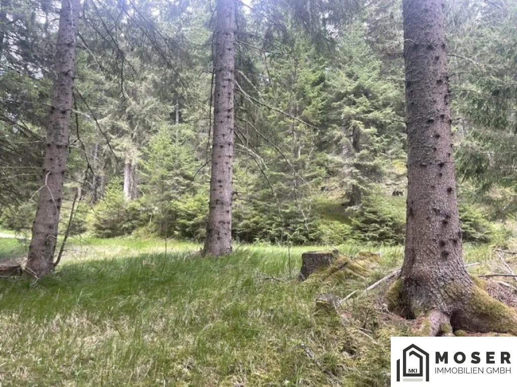 Immobilie kaufen in Murau – Bild 31 von 39