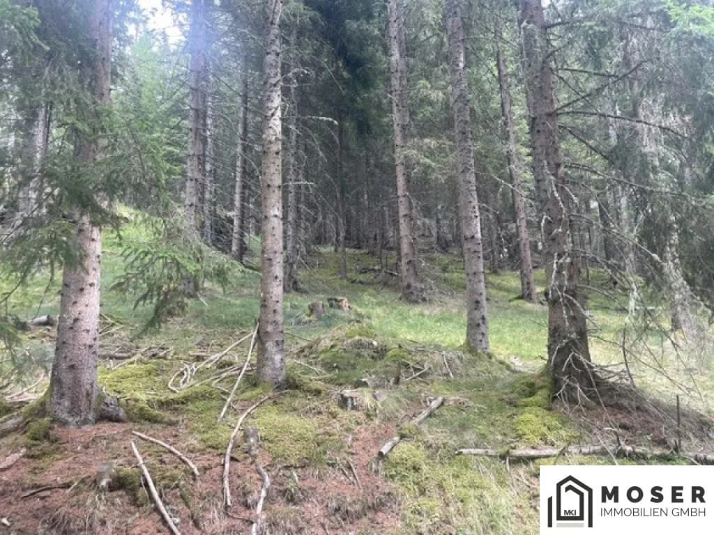 Immobilie kaufen in Murau – Bild 32 von 39