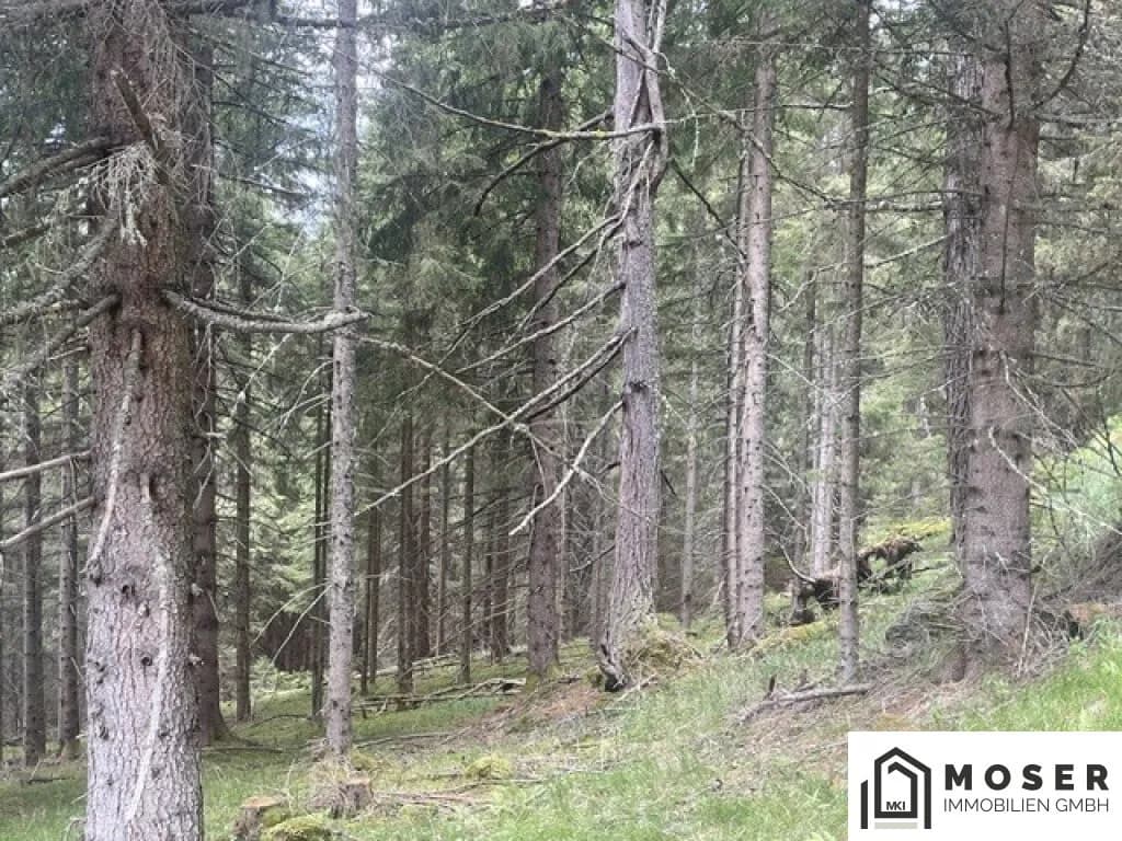 Immobilie kaufen in Murau – Bild 34 von 39