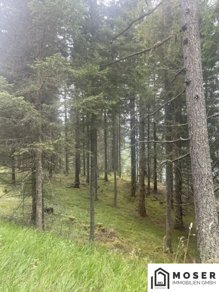Immobilie kaufen in Murau – Bild 35 von 39
