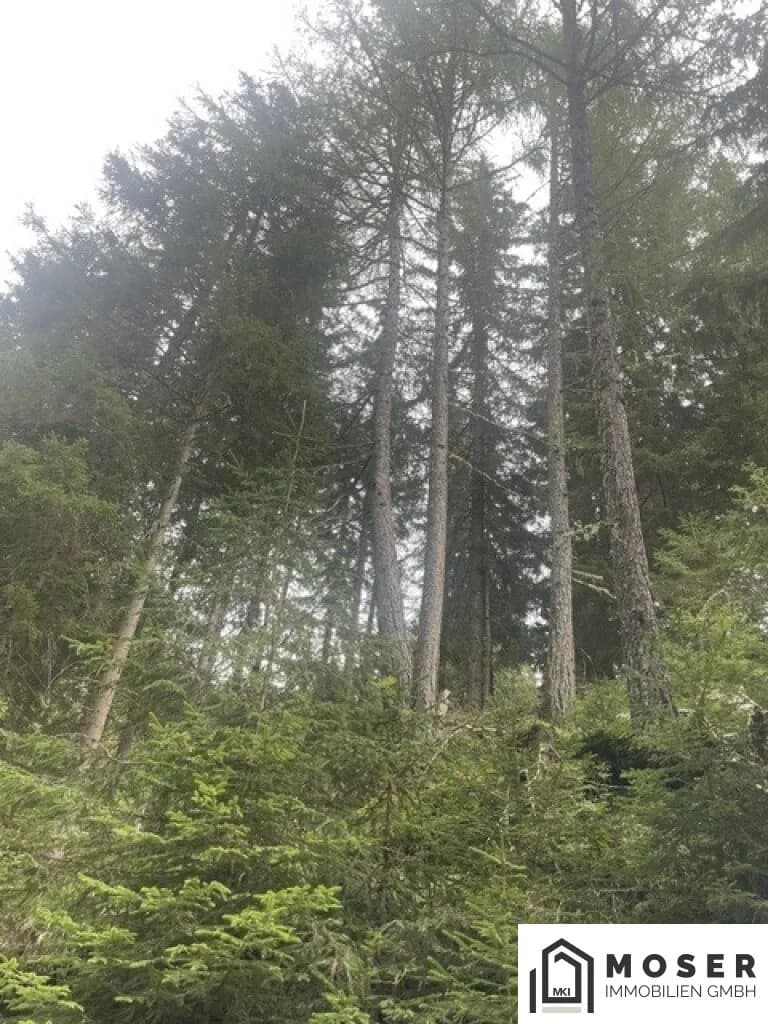 Immobilie kaufen in Murau – Bild 36 von 39