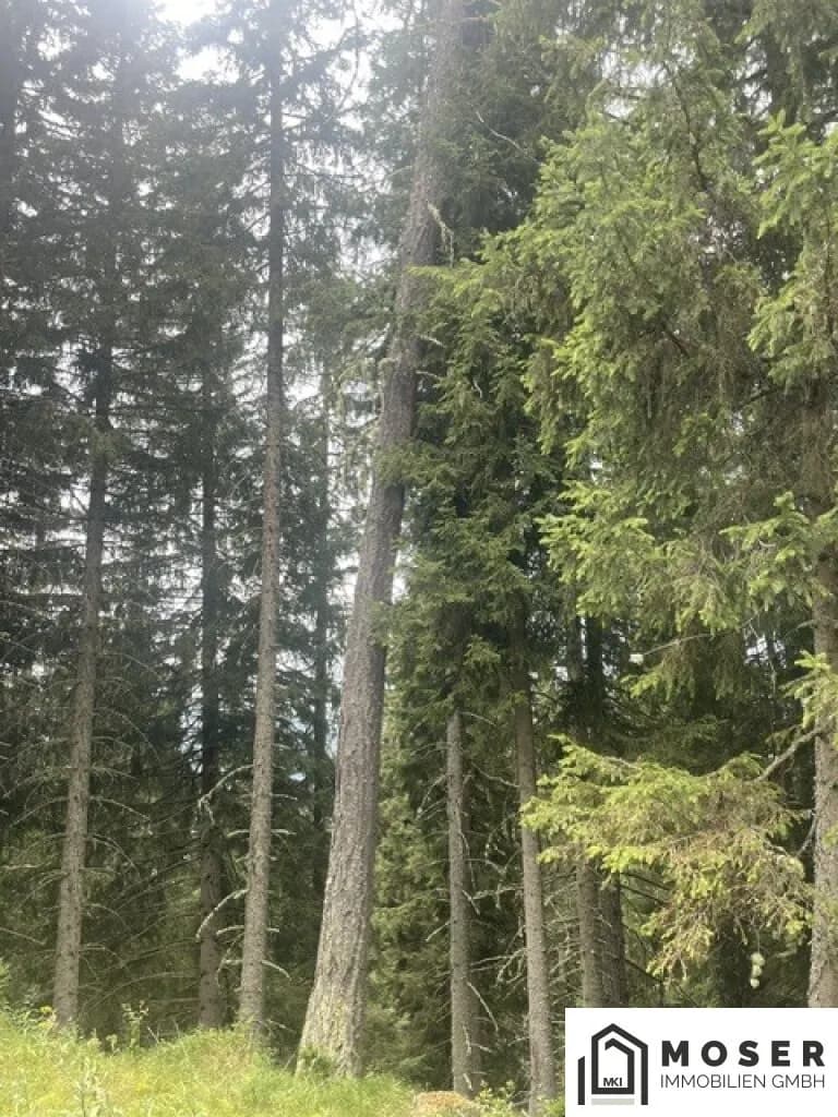 Immobilie kaufen in Murau – Bild 37 von 39