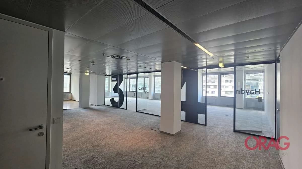 Gewerbeimmobilie mieten in Wien – 244 m², € 4.721 – Bild 12 von 14