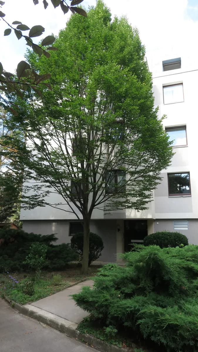 3-Zimmer-Wohnung mieten in Wien – 61 m², € 1.290 – Bild 5 von 16