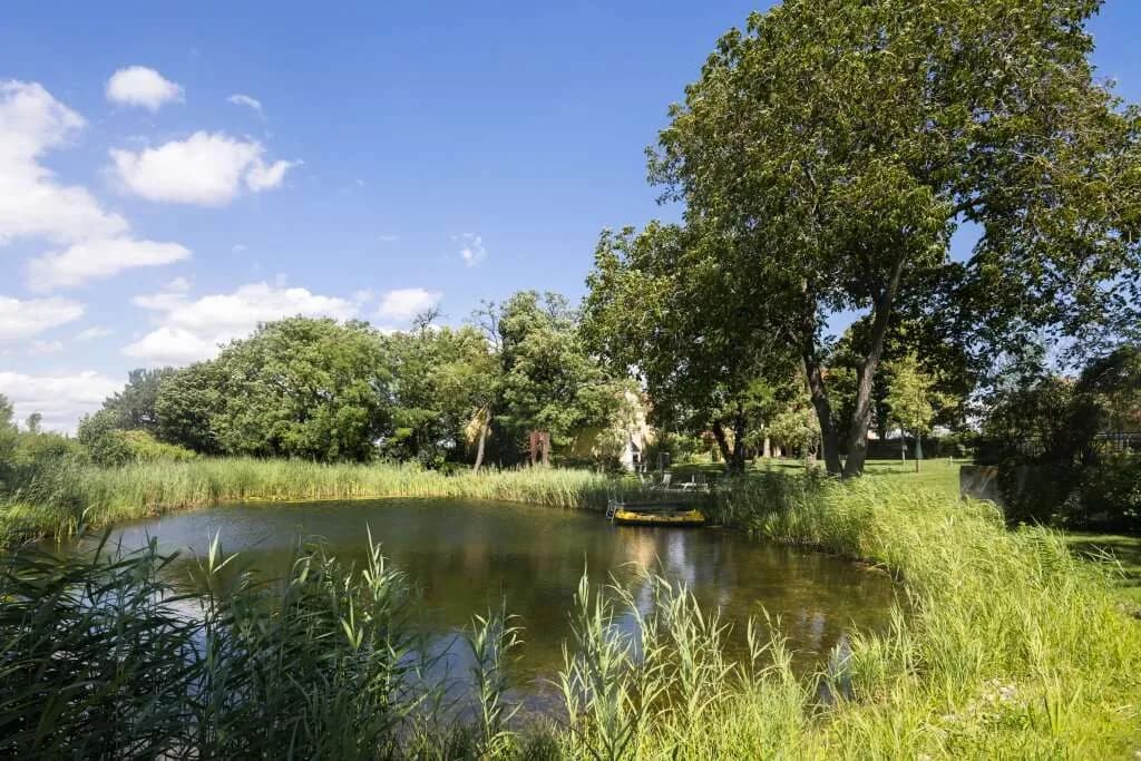 Immobilie kaufen in Tulln – 505 m² – Bild 14 von 15