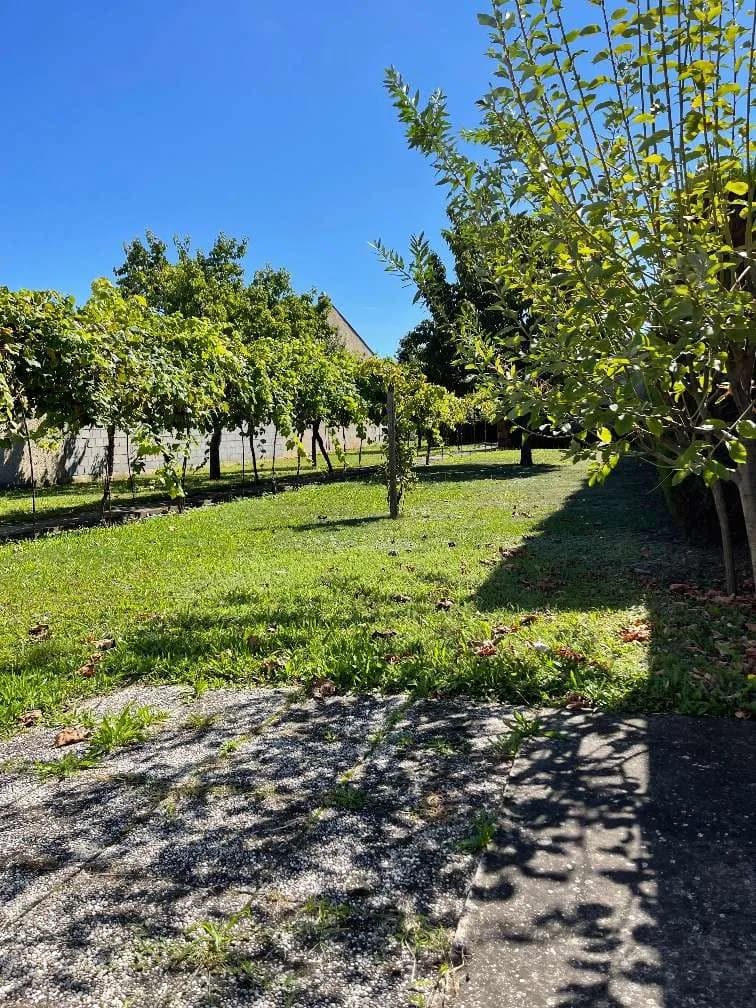 Grundstück kaufen in Neusiedl am See – 606 m², € 89.900