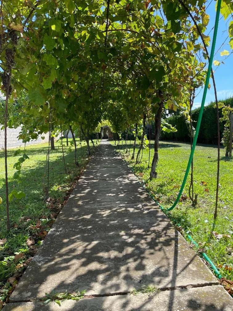 Grundstück kaufen in Neusiedl am See – 606 m², € 89.900 – Bild 2 von 4