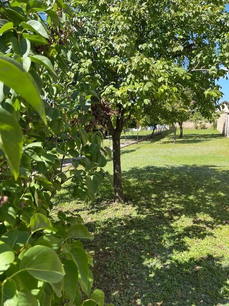 Grundstück kaufen in Neusiedl am See – 606 m², € 89.900 – Bild 3 von 4