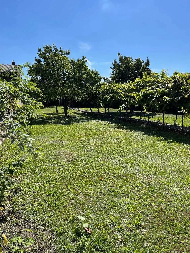 Grundstück kaufen in Neusiedl am See – 606 m², € 89.900 – Bild 4 von 4
