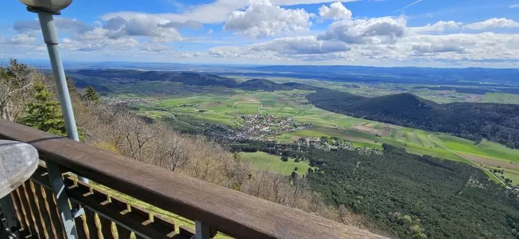 Gewerbeimmobilie mieten in Wiener Neustadt Land – 400 m², € 6 – Bild 4 von 28